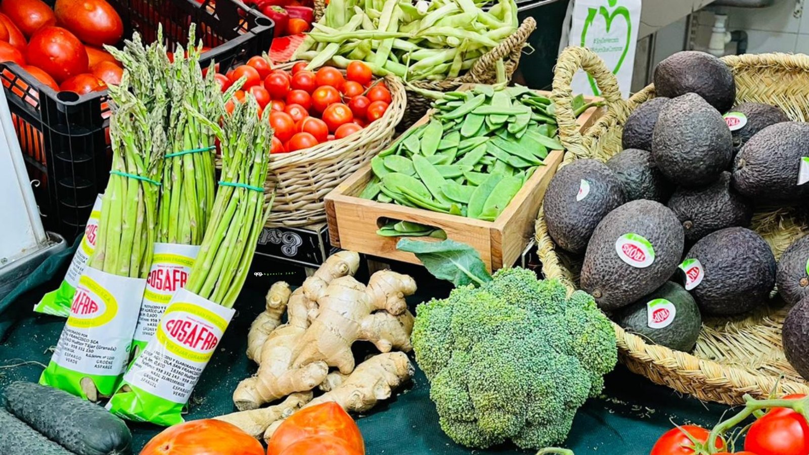 mercado de mislata